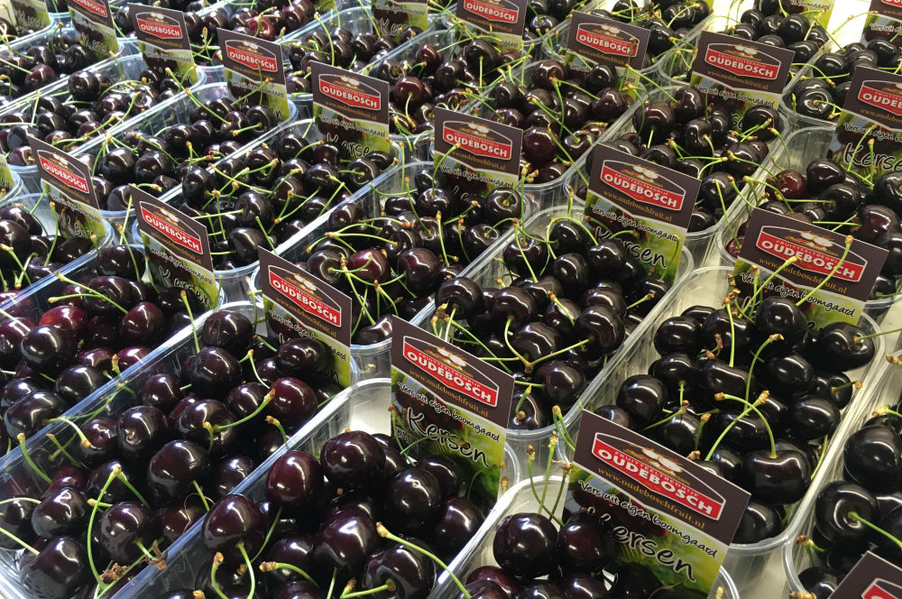 Kersen Oudebosch Fruit