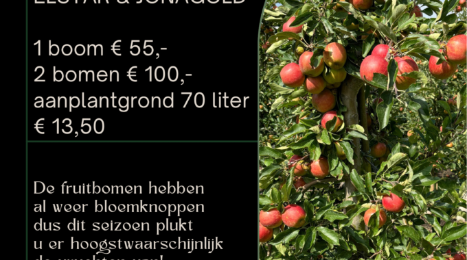 Appelbomen Te Koop
