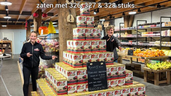 Uitslag Raadspel