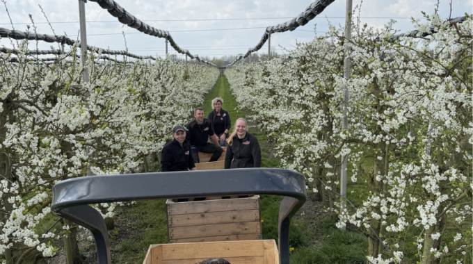 Kom & Beleef De Bloeiende Boomgaard