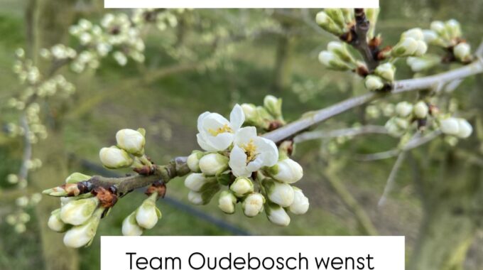 2de Paasdag Gesloten