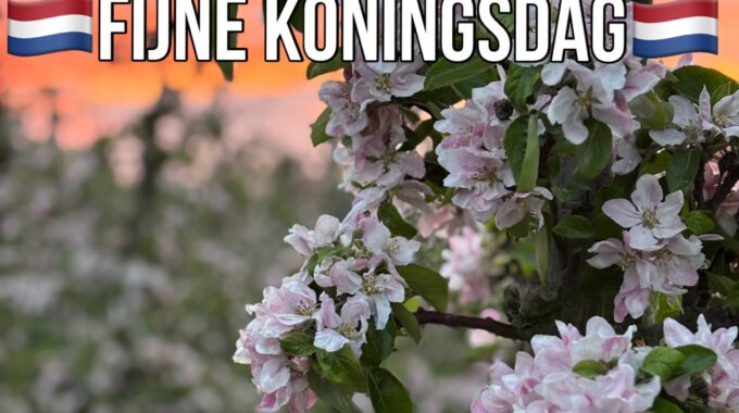 Koningsdag Gesloten